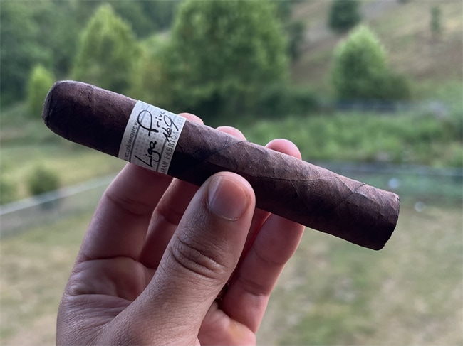 Understanding the Toro-Sized Cigar